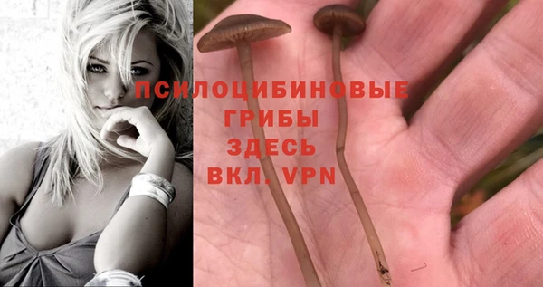 MDMA Premium VHQ Алзамай